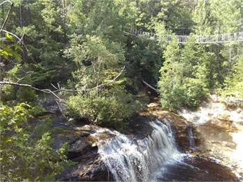 ZipQuest - Waterfall & Treetop Adventure